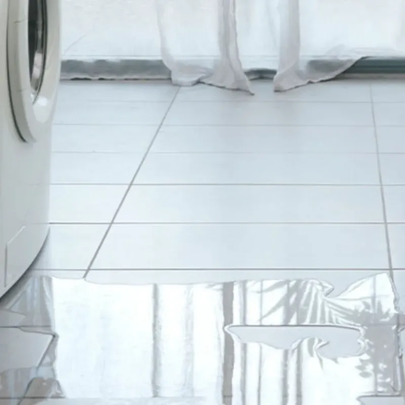 Appliance Leak Cleanup in Robbinsdale, MN