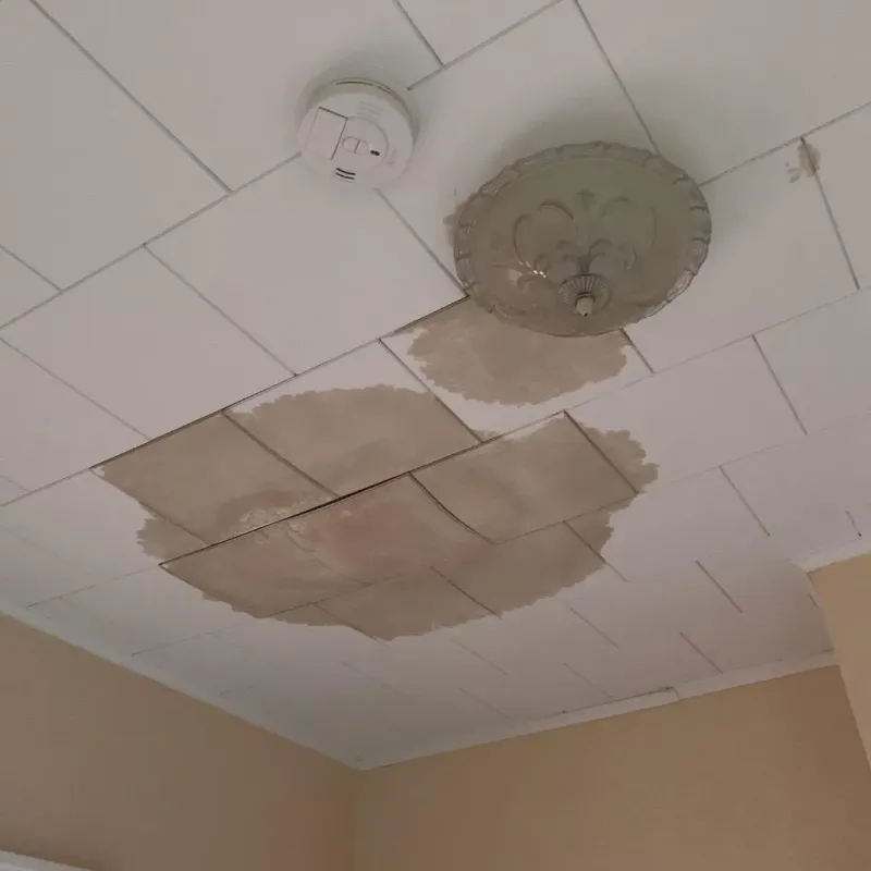 Ceiling Water Damage Repair in Robbinsdale, MN